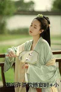 许清欢傅宴时+